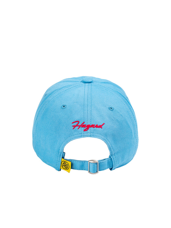 DAD (LOCAL RULES) HAT