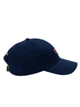 DAD (IMAGINE BIRDIES) HAT